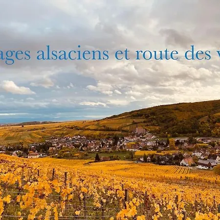 Apartmán New L'industr'ill Au Coeur De L'alsace Sélestat